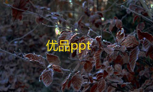 暗区千里眼辅助器(免费)优品ppt